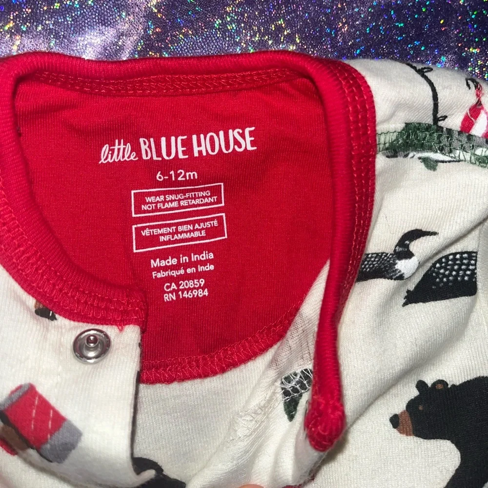 Little Blue house sleeper